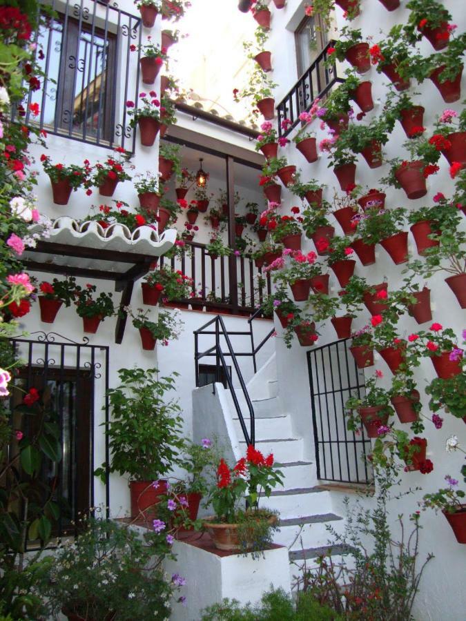 코르도바 El Balcon De La Juderia 아파트 외부 사진