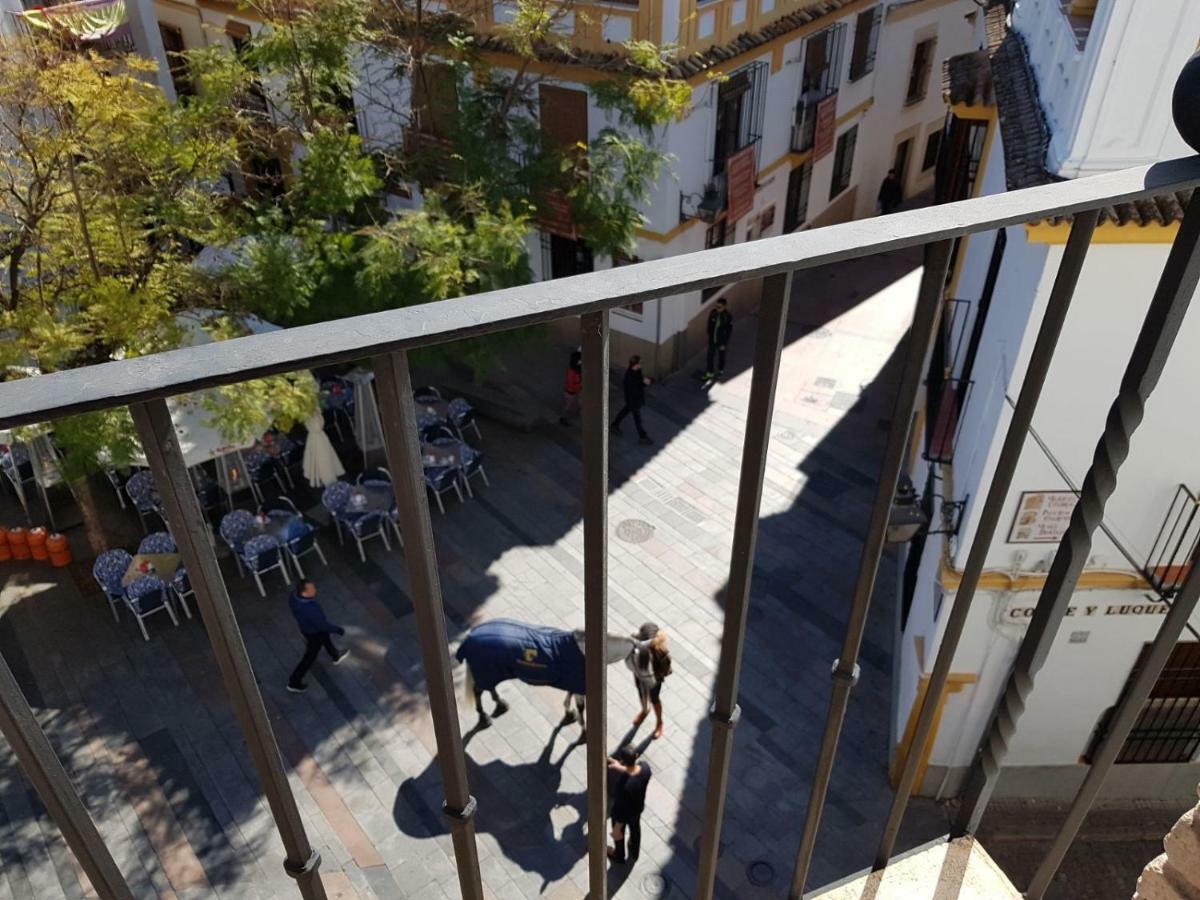 코르도바 El Balcon De La Juderia 아파트 외부 사진